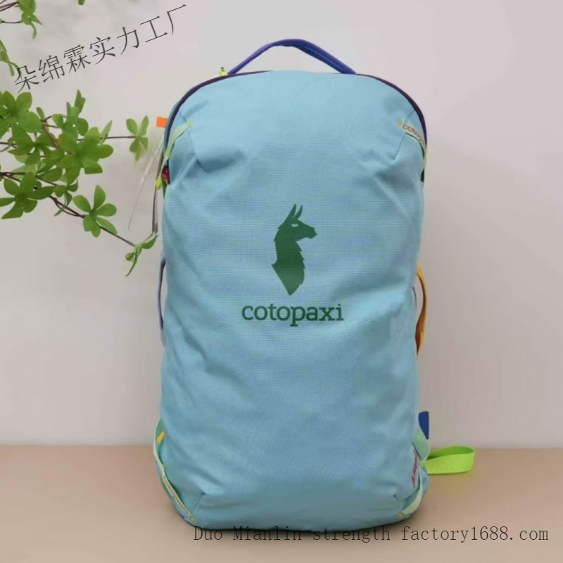 Wasserdichter Farbblock-Rucksa – Hiking Backpack Waterproof Bewertung und Preis