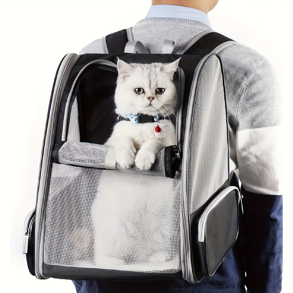 Ein faltbarer, belüfteter Haus – Foldable Backpack Small Bewertung und Preis